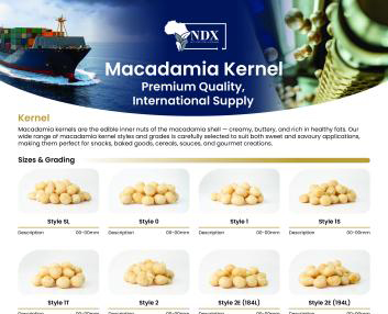 Example - Main product brochure 3