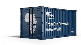 Golden macadamias branding